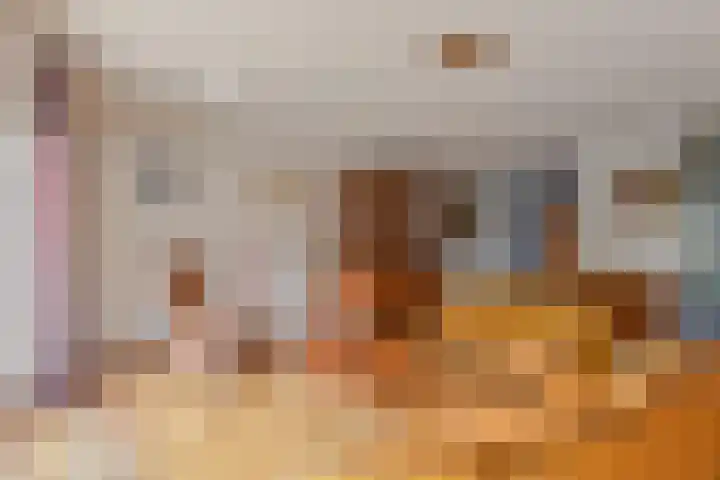 Zenobiagang 77 Zoetermeer thumbnail 21