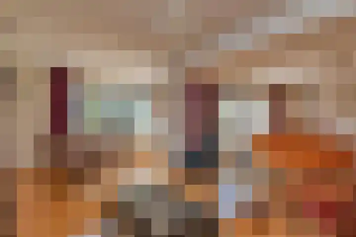 Zenobiagang 77 Zoetermeer thumbnail 26