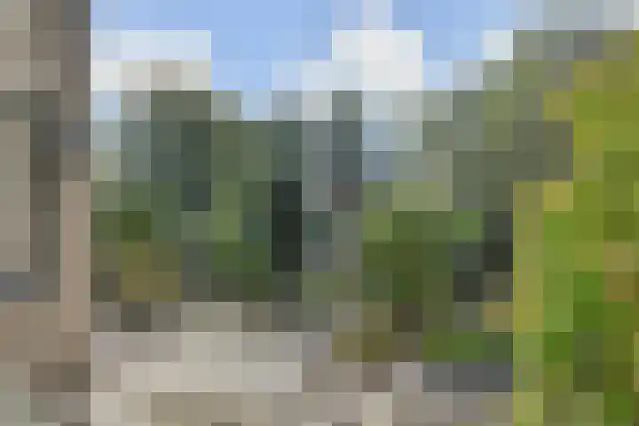 Zenobiagang 77 Zoetermeer thumbnail 29