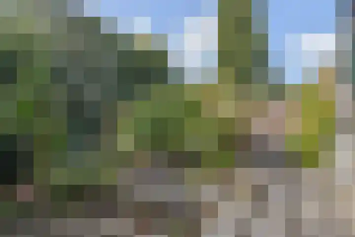Zenobiagang 77 Zoetermeer thumbnail 31