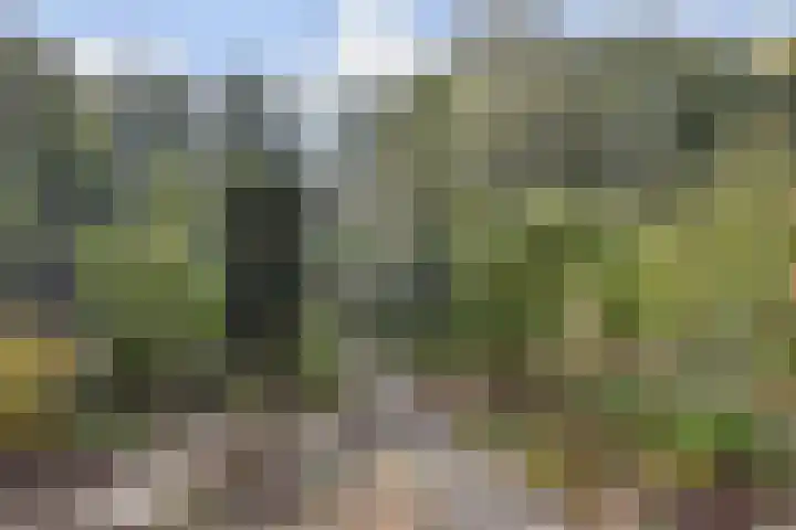Zenobiagang 77 Zoetermeer thumbnail 32