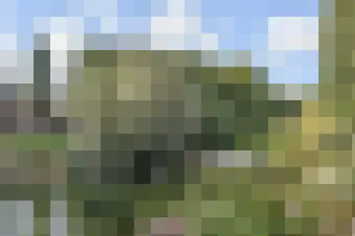 Zenobiagang 77 Zoetermeer thumbnail 33