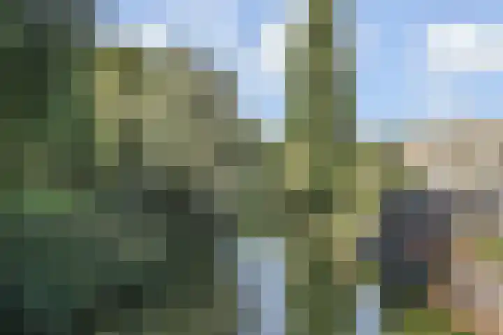 Zenobiagang 77 Zoetermeer thumbnail 34