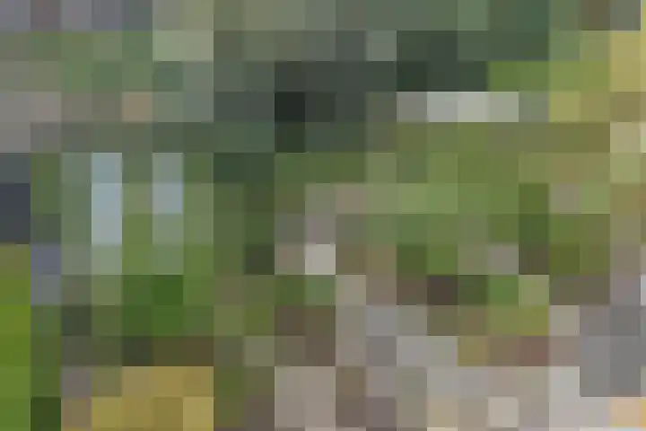 Zenobiagang 77 Zoetermeer thumbnail 44