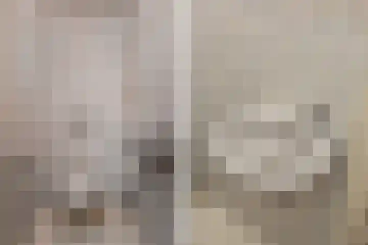 Zenobiagang 77 Zoetermeer thumbnail 46