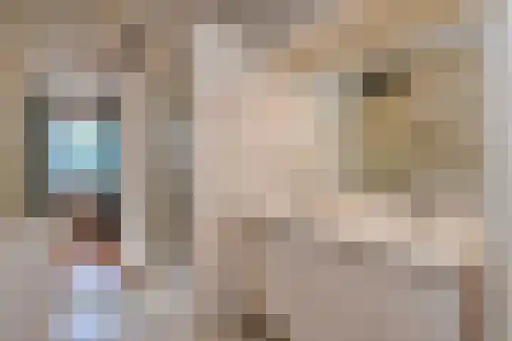 Zenobiagang 77 Zoetermeer thumbnail 49