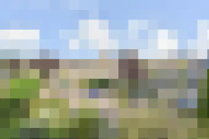 Zenobiagang 77 Zoetermeer thumbnail 55