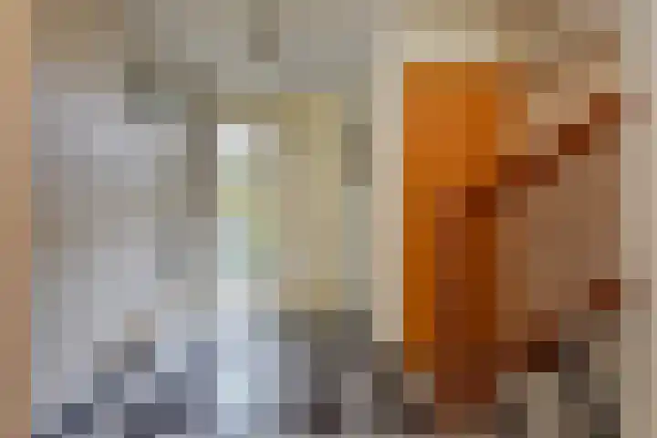 Zenobiagang 77 Zoetermeer thumbnail 9