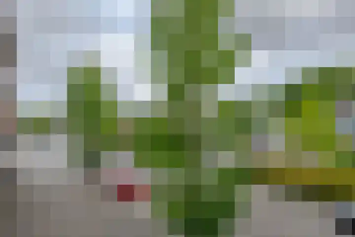 Zenostraat 28 Rotterdam thumbnail 19