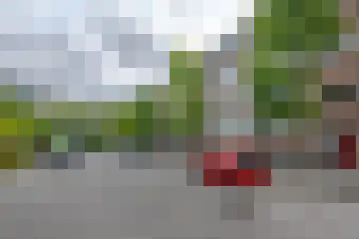 Zenostraat 28 Rotterdam thumbnail 23