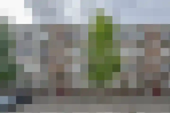 Zenostraat 28 Rotterdam thumbnail 27