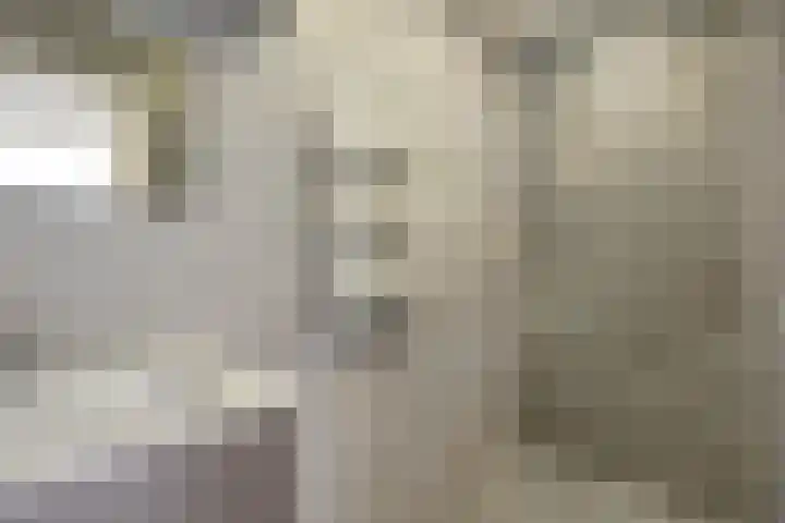 Zenostraat 28 Rotterdam thumbnail 4