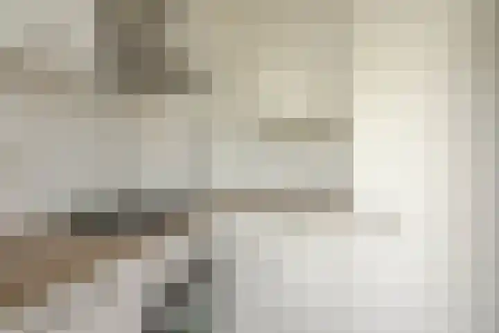 Zenostraat 28 Rotterdam thumbnail 7