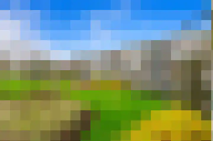 Zenostraat 36 Rotterdam thumbnail 16