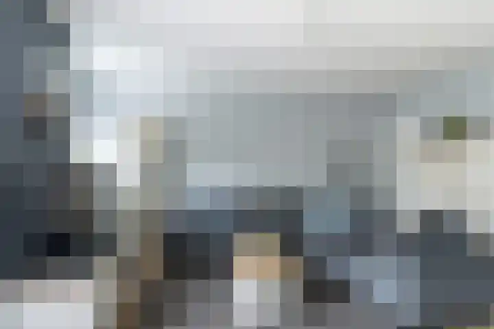 Zenostraat 73 Rotterdam thumbnail 5