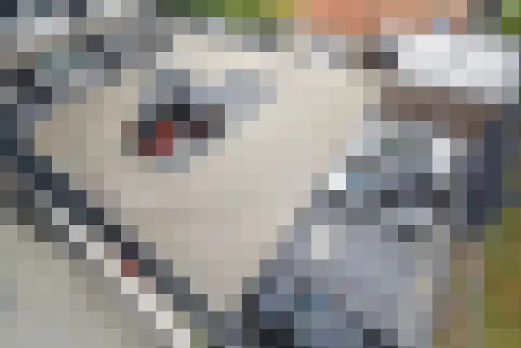 Zeppelinstraat 50 Beverwijk thumbnail 34