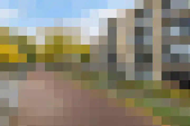 Zerboltstraat 2 K Zwolle thumbnail 28