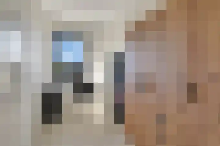 Zerboltstraat 2 V Zwolle thumbnail 13