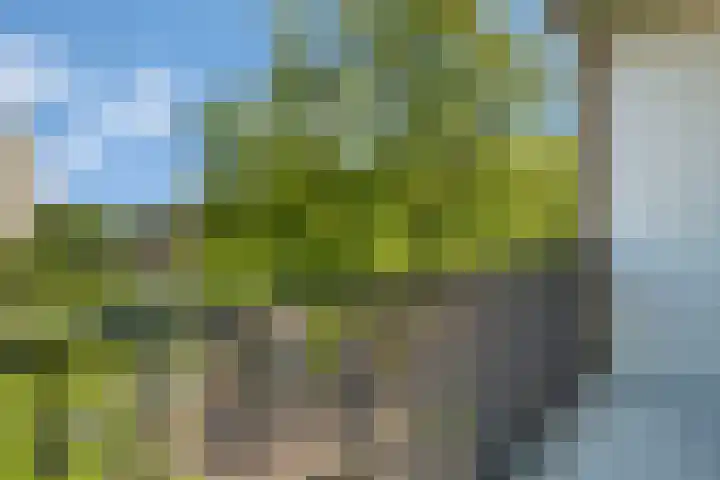 Zerboltstraat 2 V Zwolle thumbnail 15