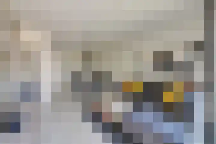 Zerboltstraat 2 V Zwolle thumbnail 4