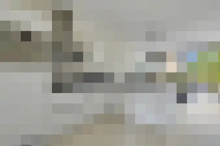 Zerboltstraat 2 V Zwolle thumbnail 6