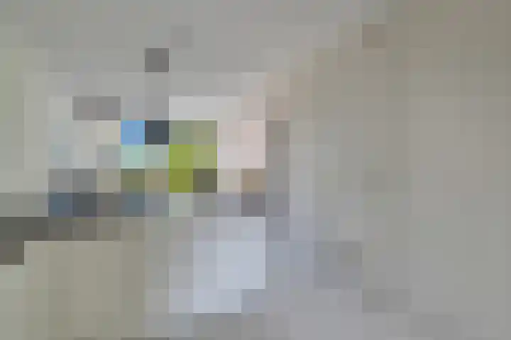 Zerboltstraat 2 V Zwolle thumbnail 7