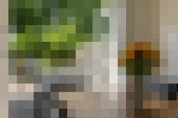 Zerkhouwersstraat 14 Veendam thumbnail 11
