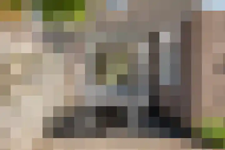 Zerkhouwersstraat 14 Veendam thumbnail 25
