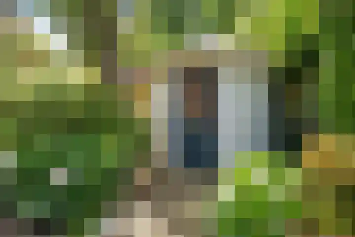 Zerkhouwersstraat 14 Veendam thumbnail 27