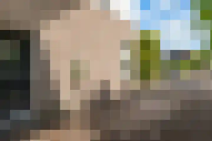 Zerkhouwersstraat 14 Veendam thumbnail 30
