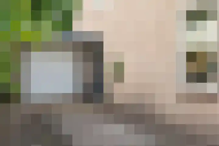 Zerkhouwersstraat 14 Veendam thumbnail 31