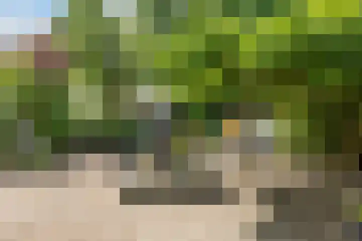 Zerkhouwersstraat 14 Veendam thumbnail 5