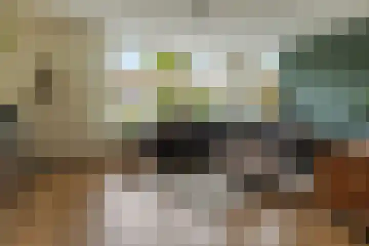 Zerkhouwersstraat 14 Veendam thumbnail 7