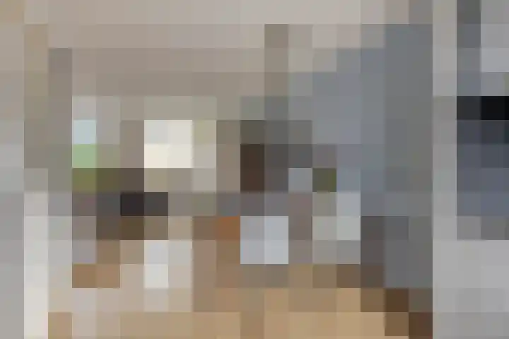 Zerkhouwersstraat 79 Veendam thumbnail 17