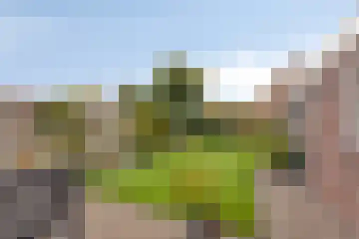 Zerkhouwersstraat 79 Veendam thumbnail 28