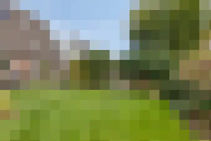 Zerkhouwersstraat 79 Veendam thumbnail 32