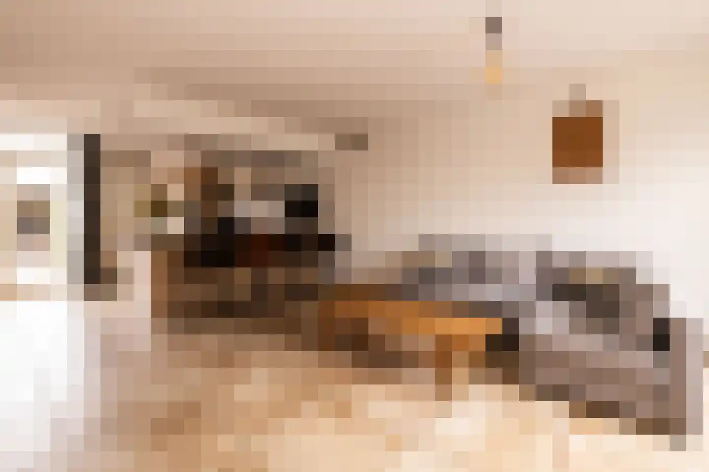 Zernikelaan 13 Schoonhoven thumbnail 11