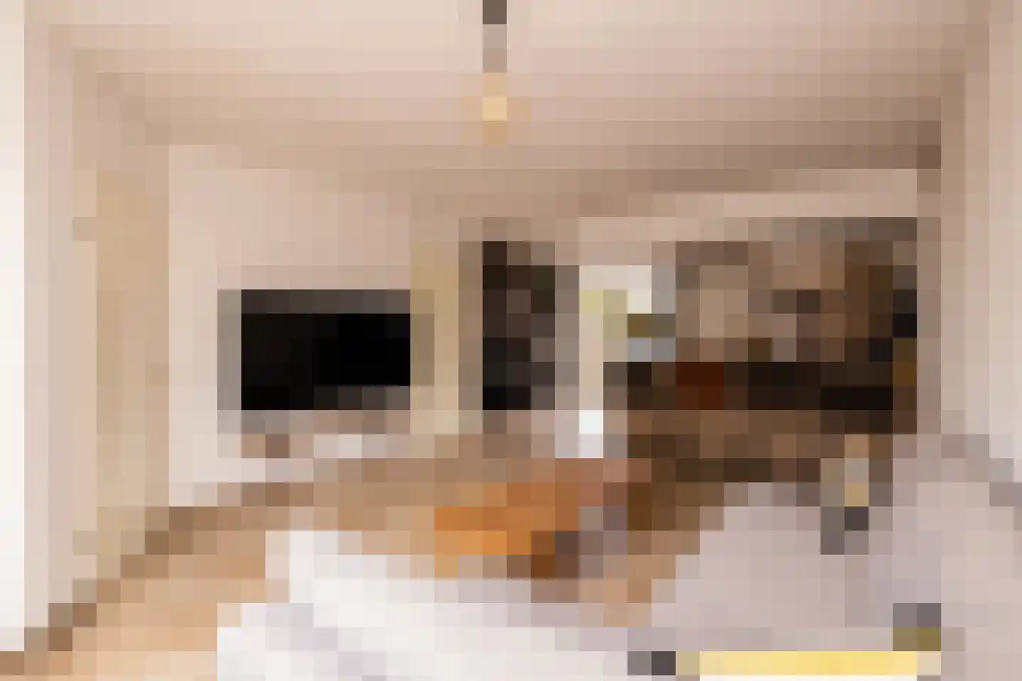Zernikelaan 13 Schoonhoven thumbnail 12