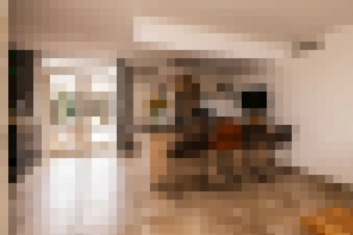 Zernikelaan 13 Schoonhoven thumbnail 13