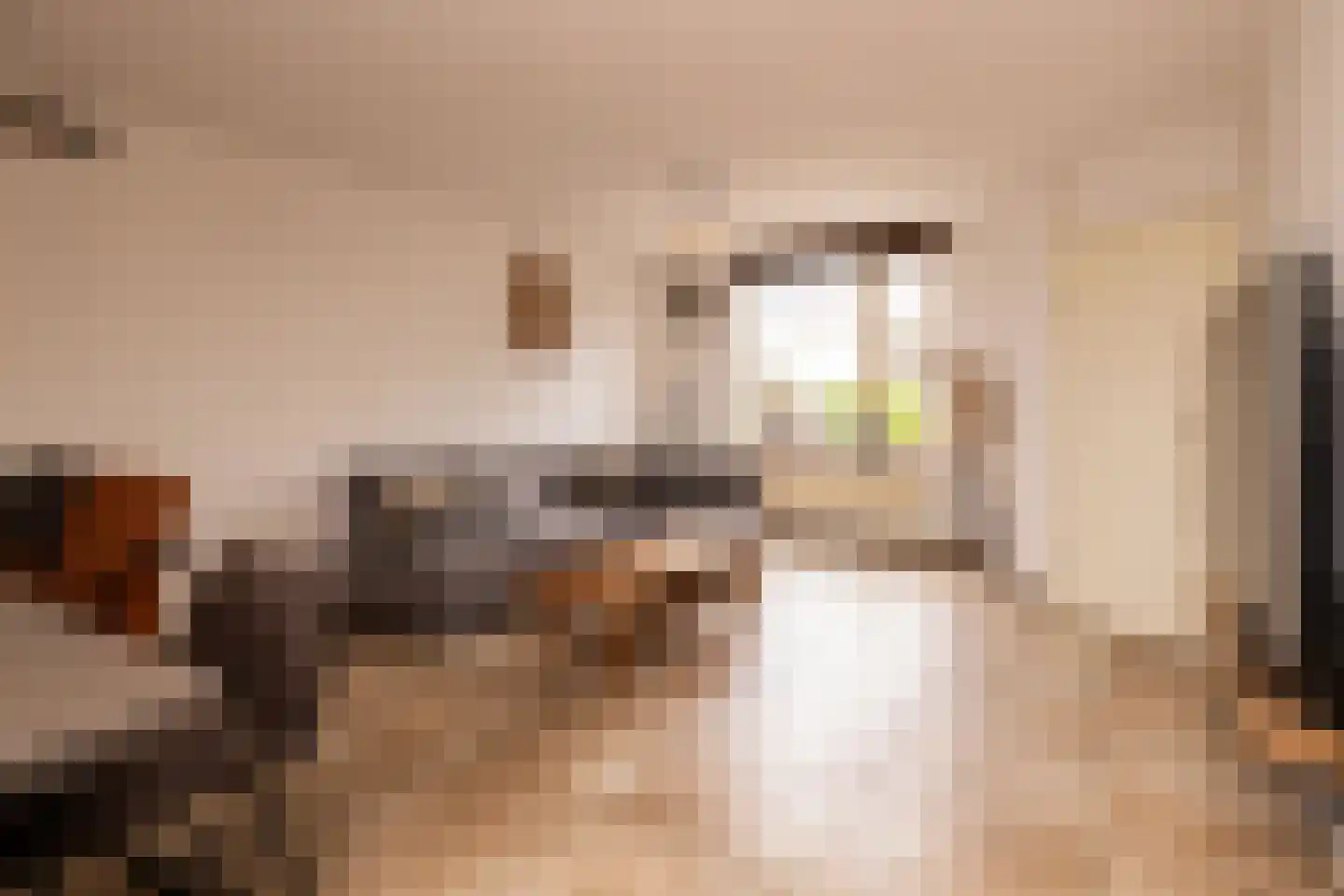 Zernikelaan 13 Schoonhoven thumbnail 14