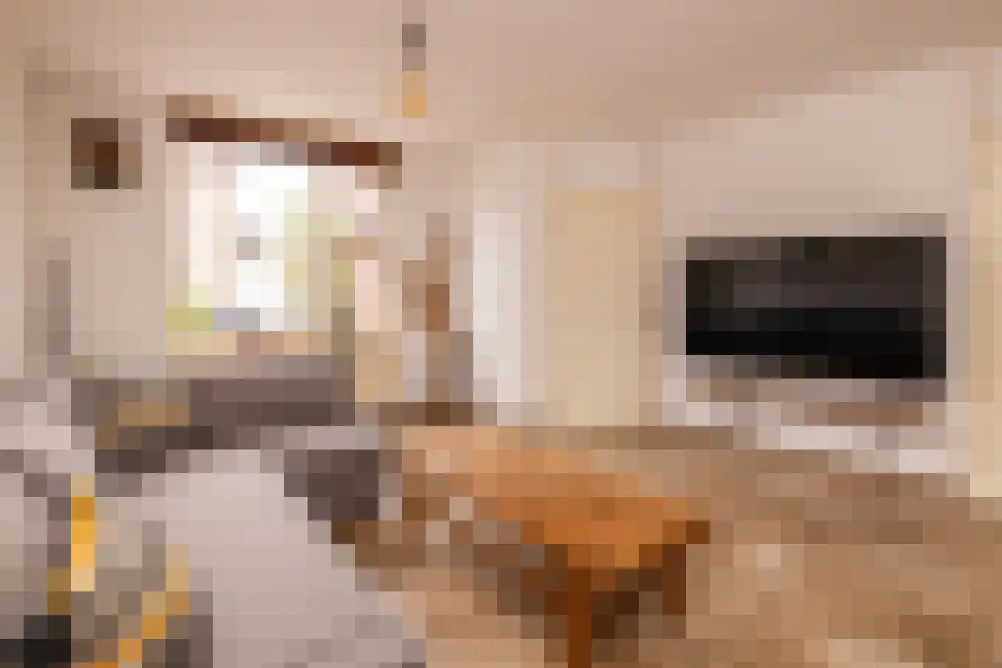 Zernikelaan 13 Schoonhoven thumbnail 15