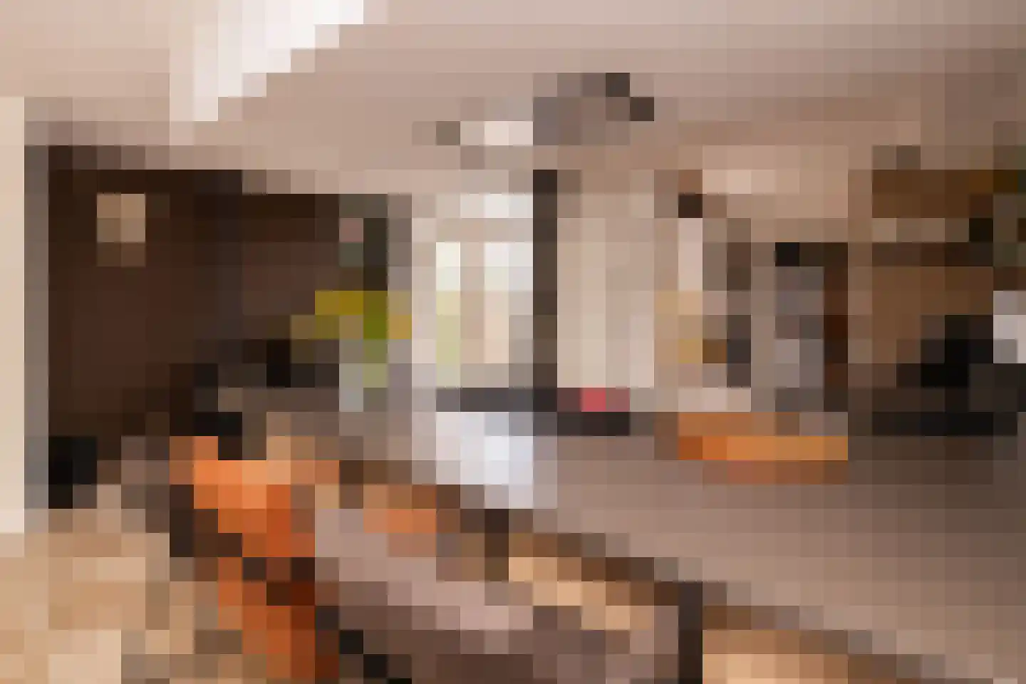 Zernikelaan 13 Schoonhoven thumbnail 16