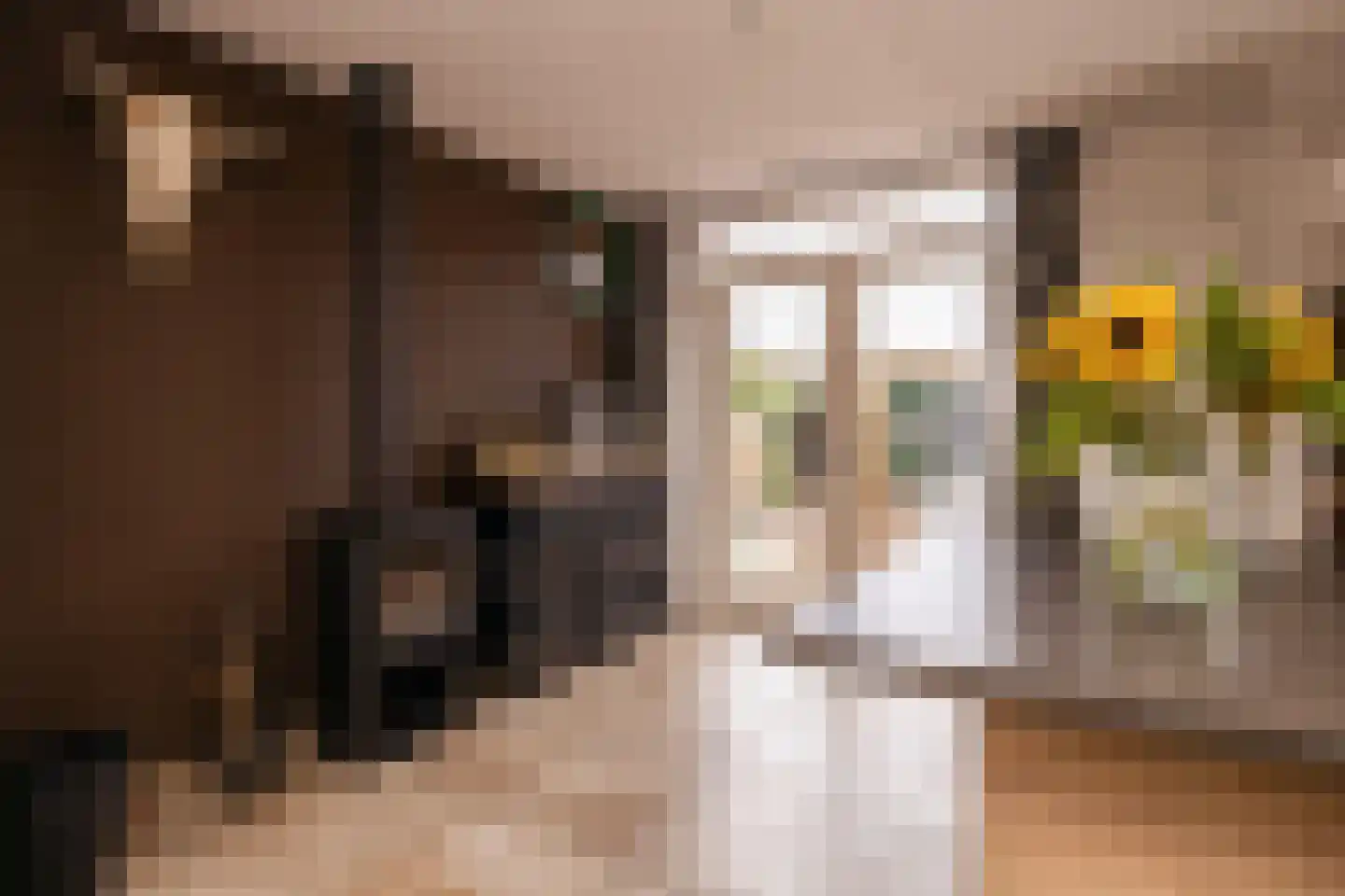 Zernikelaan 13 Schoonhoven thumbnail 17