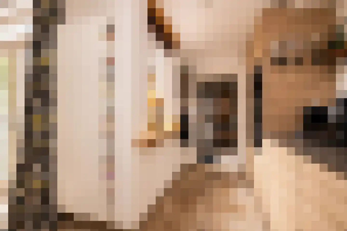 Zernikelaan 13 Schoonhoven thumbnail 24