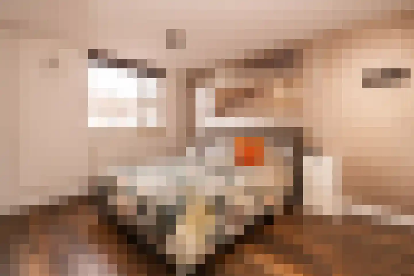 Zernikelaan 13 Schoonhoven thumbnail 28