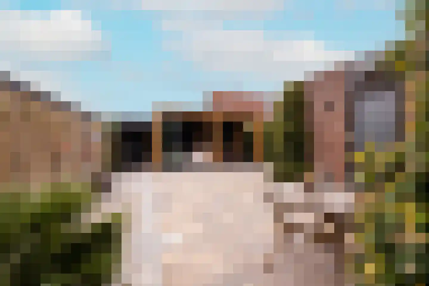 Zernikelaan 13 Schoonhoven foto 3