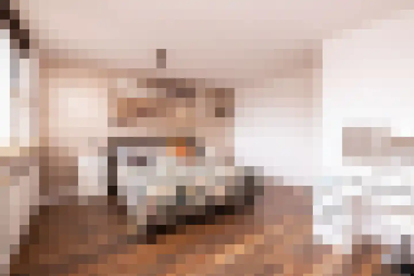 Zernikelaan 13 Schoonhoven thumbnail 30