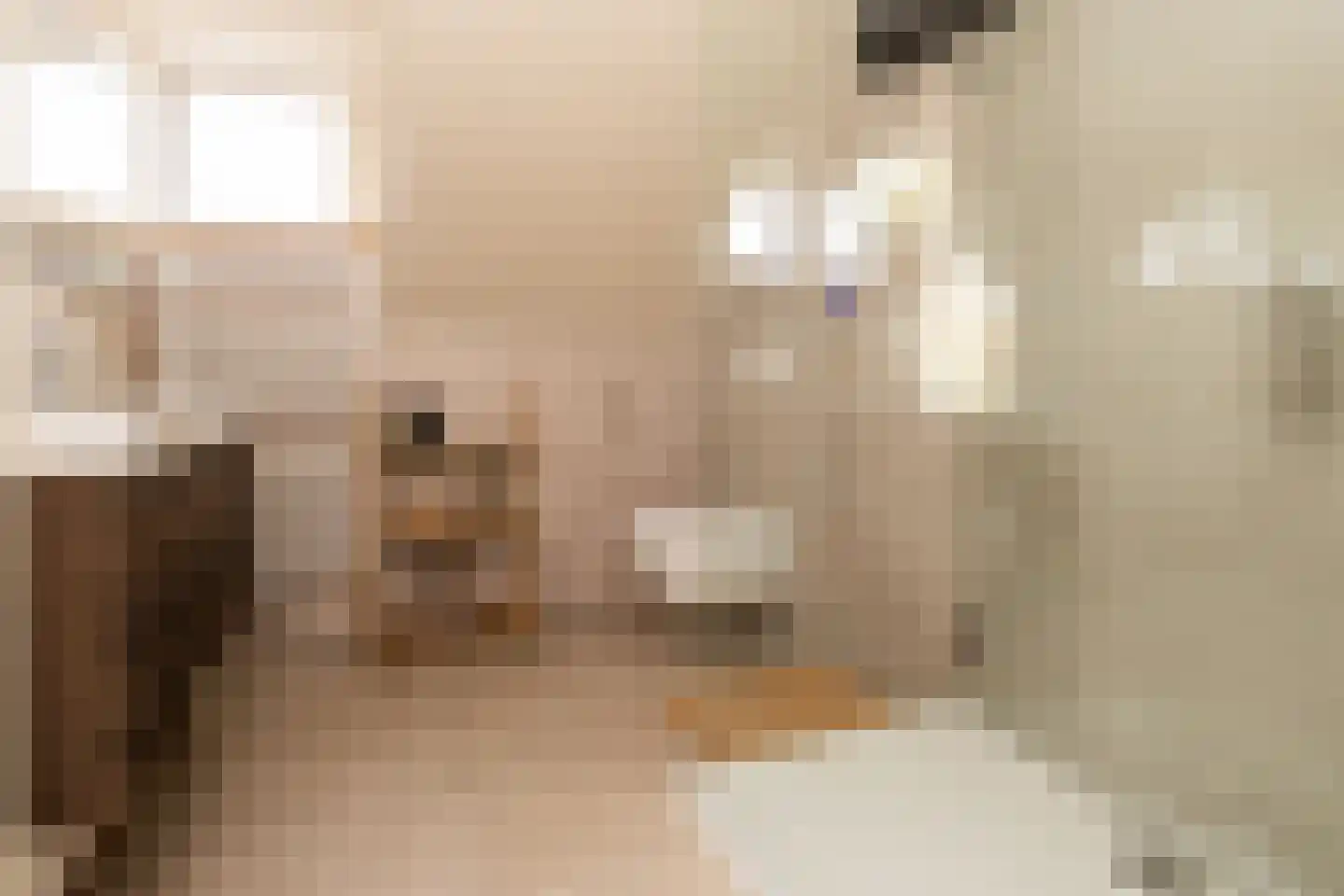 Zernikelaan 13 Schoonhoven thumbnail 32