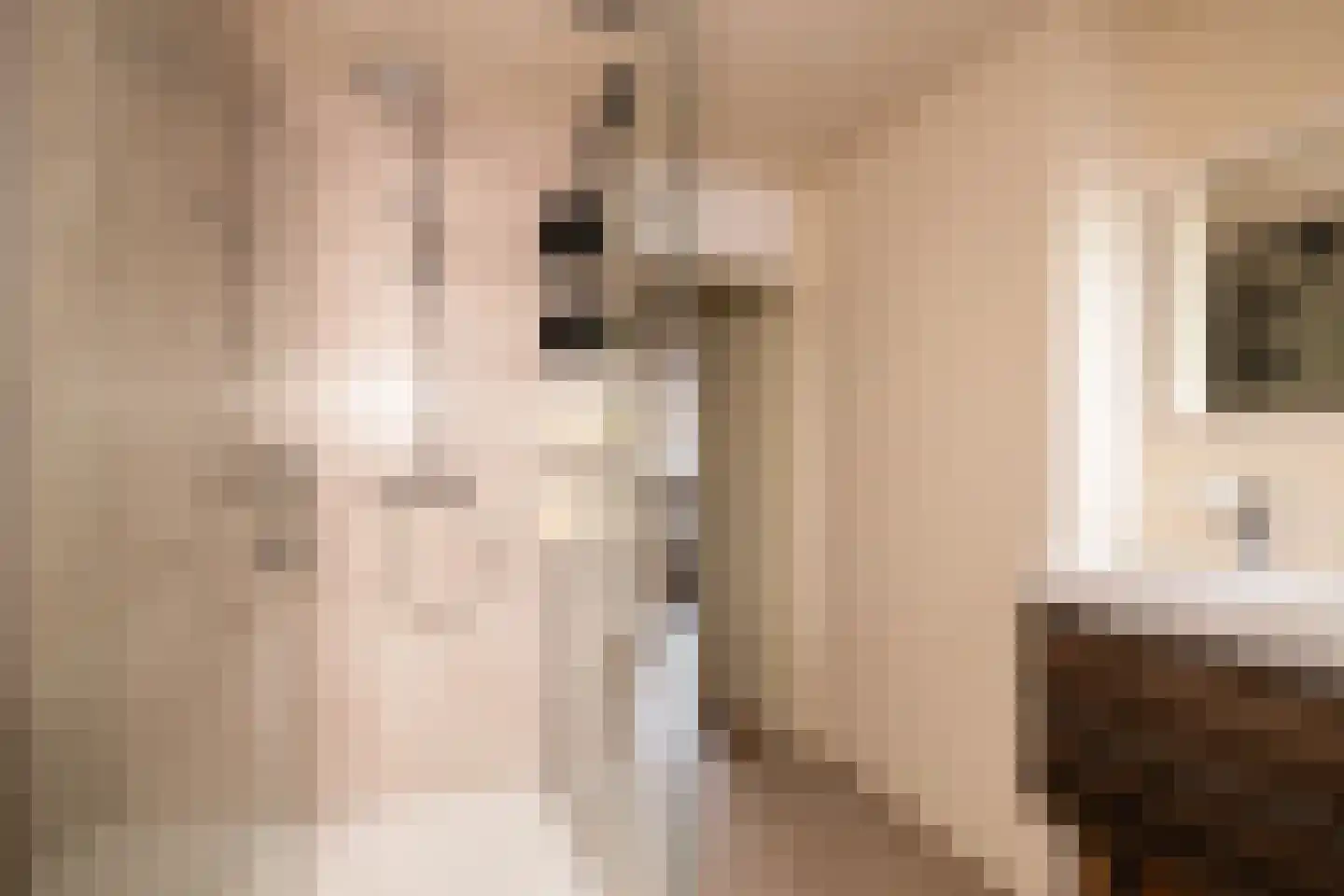 Zernikelaan 13 Schoonhoven thumbnail 33