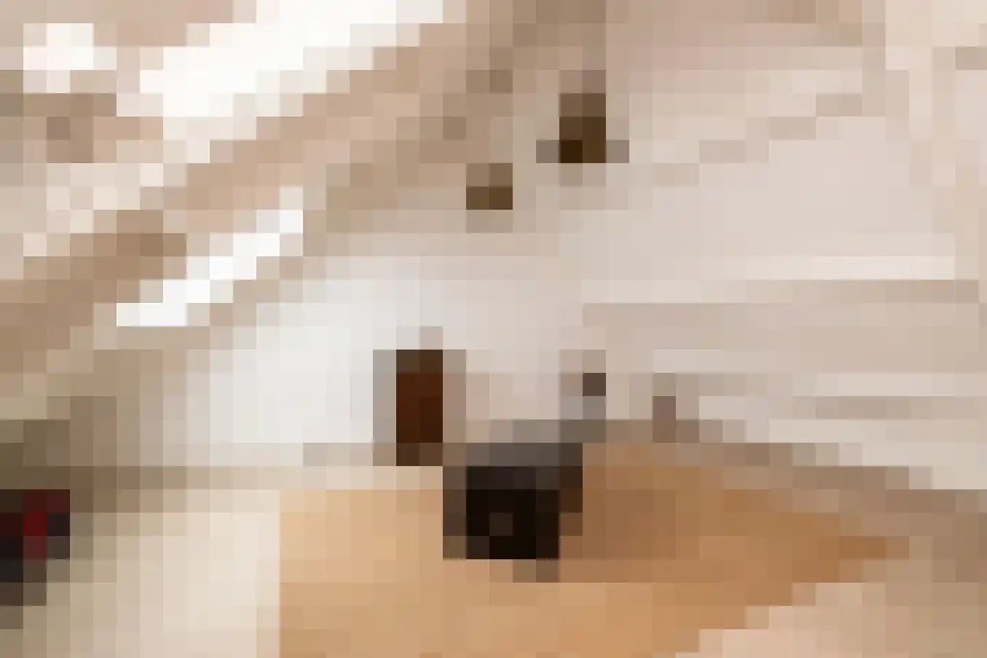 Zernikelaan 13 Schoonhoven thumbnail 41